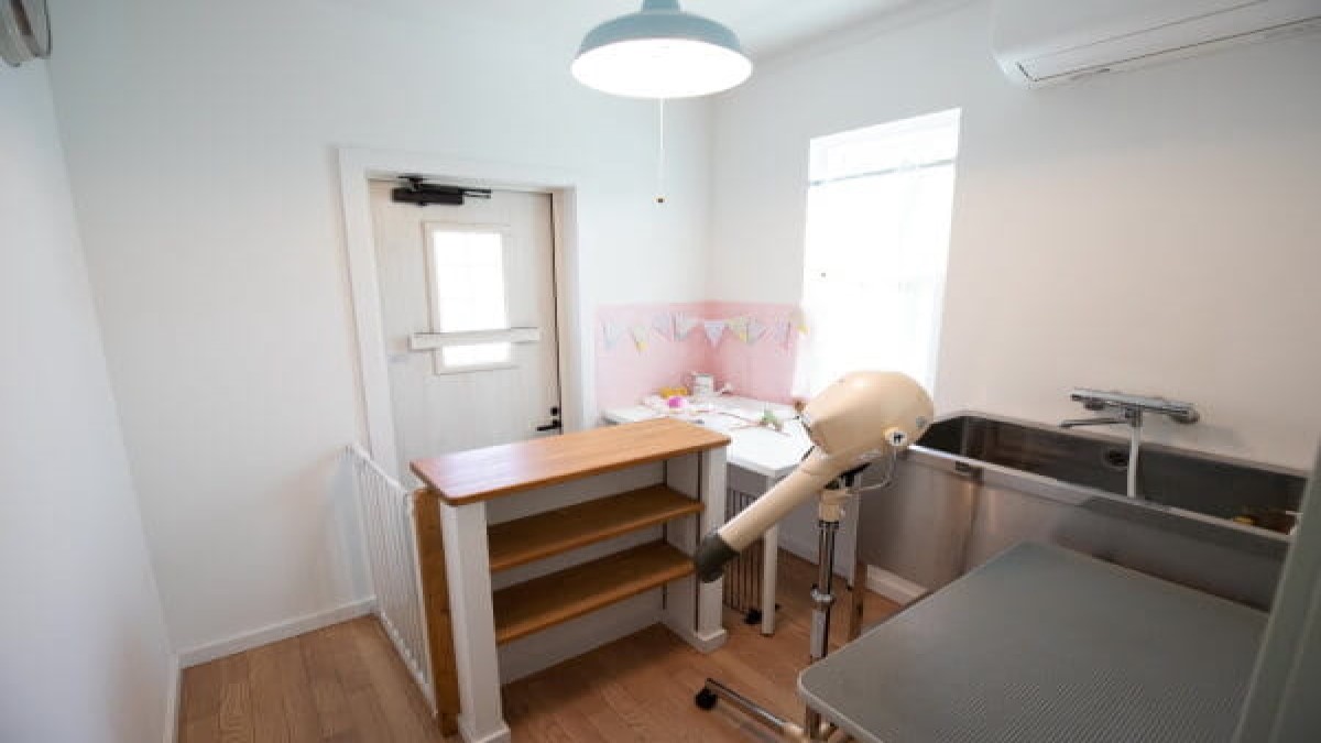 Dog salon KEA