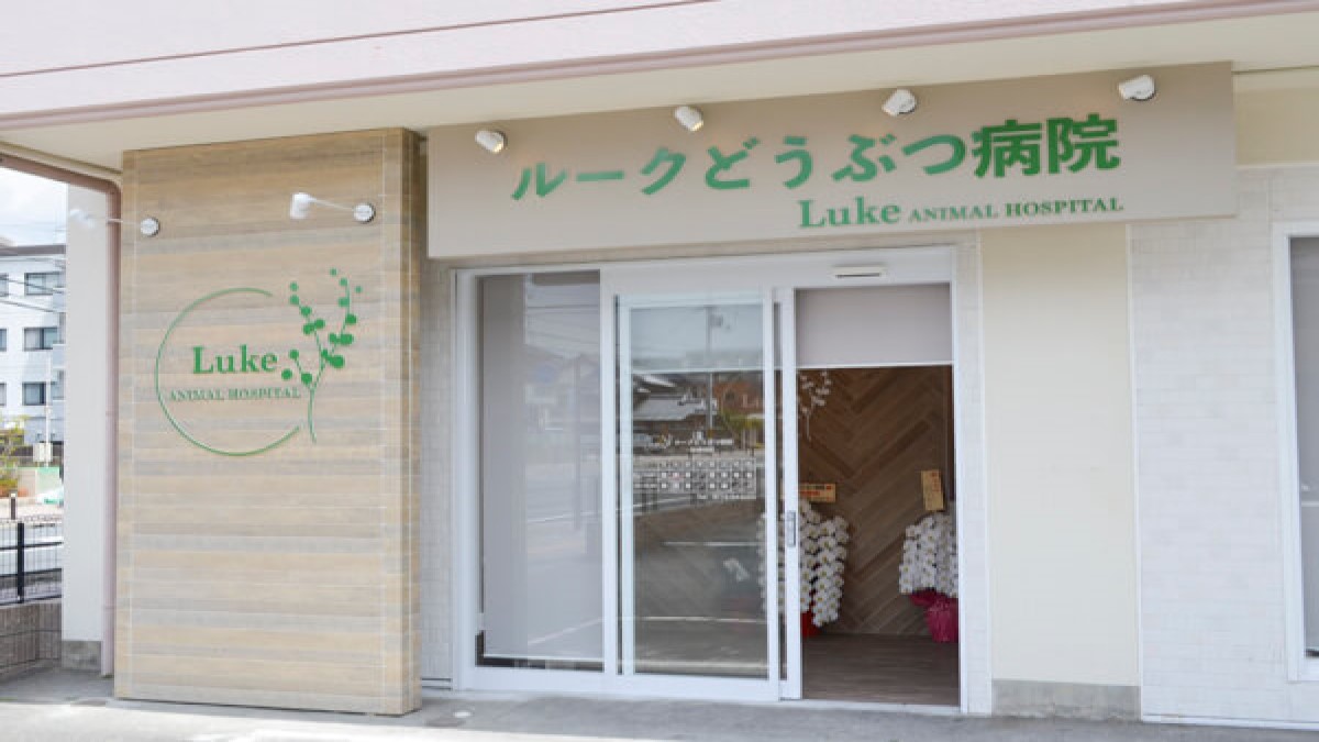 ルークどうぶつ病院(トリミング)