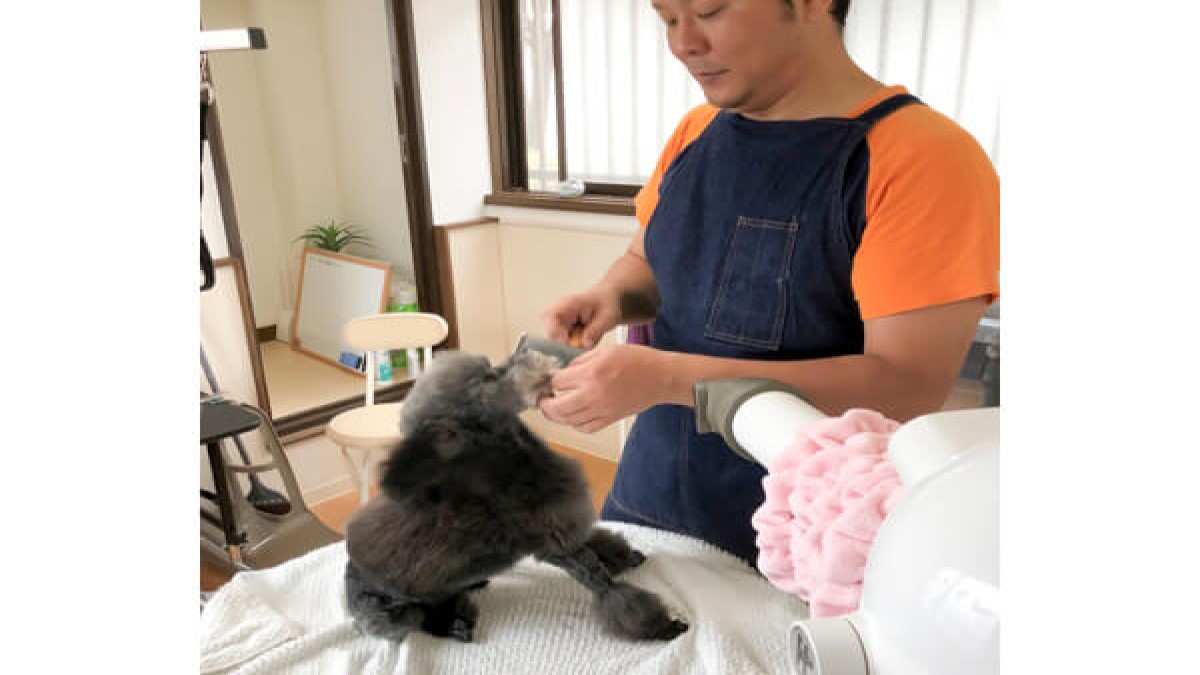 ドッグサロン サンデー