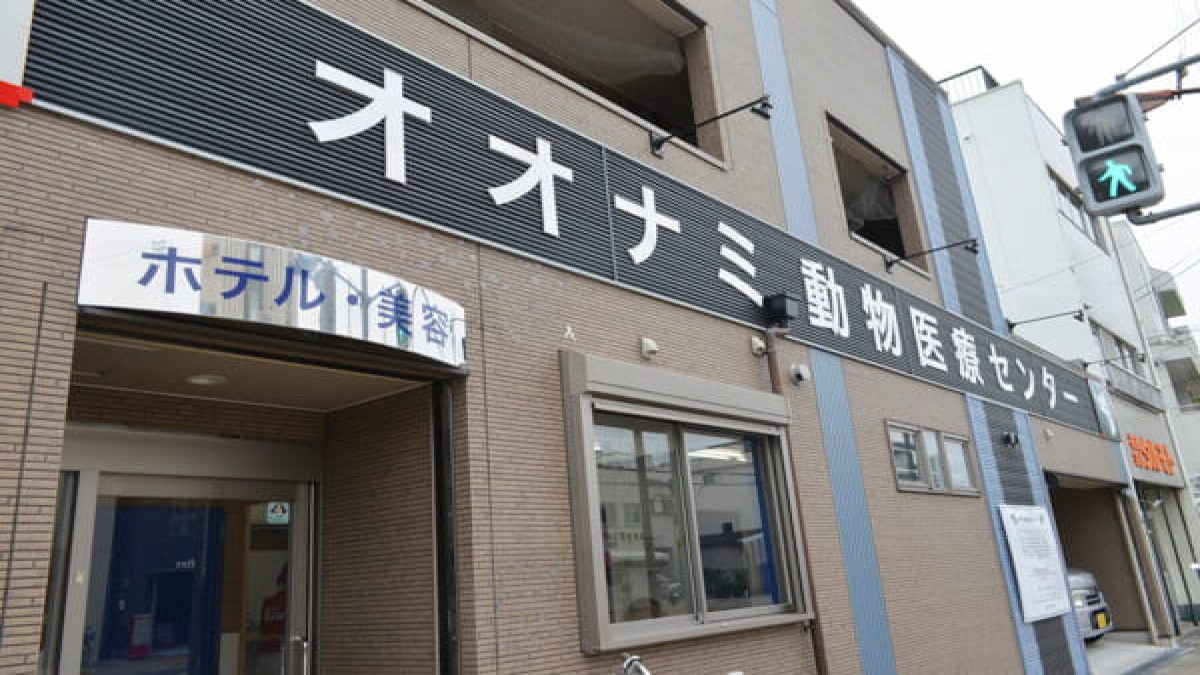 ペットサロン バディ