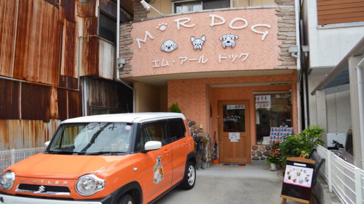 M・RDOG