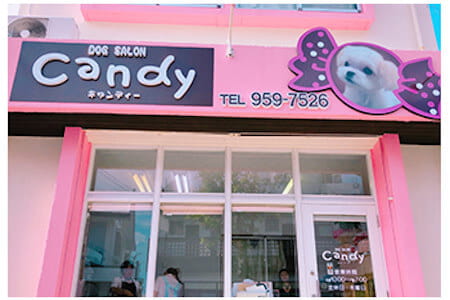 Dogsalon Candy