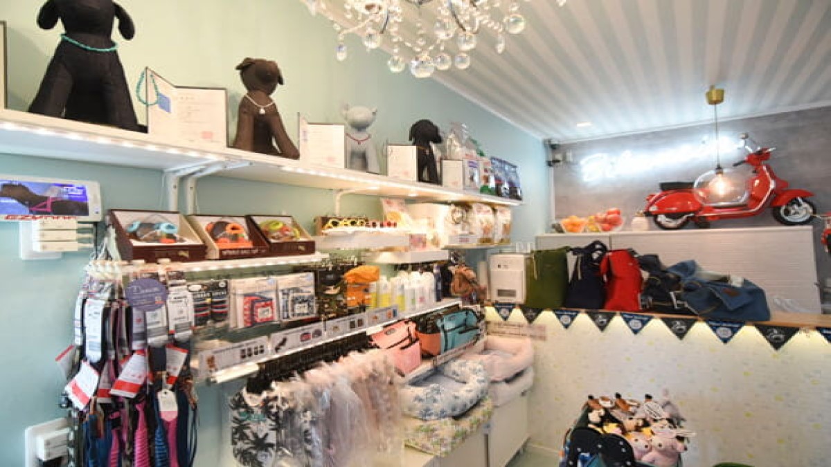 TRIMING SALON BILANCIA