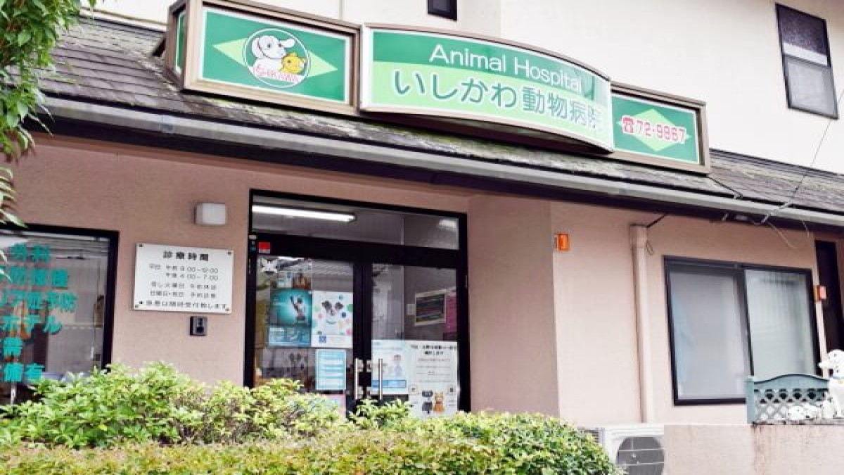 いしかわ動物病院(トリミング)