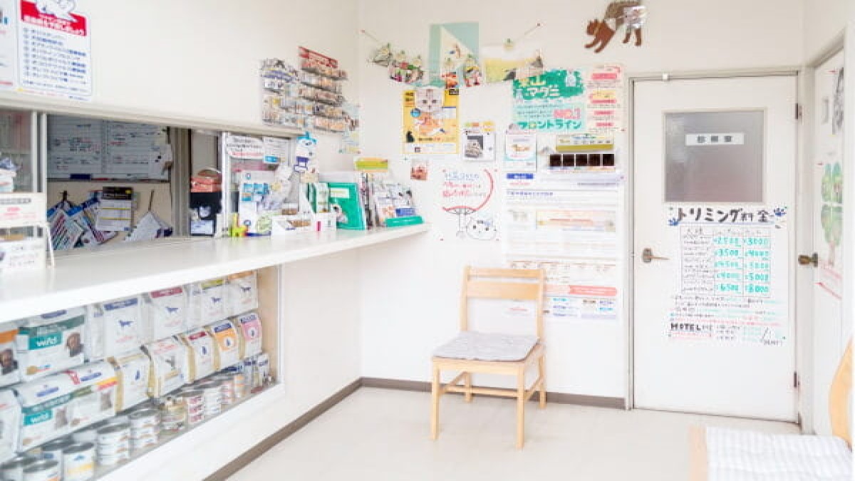 東山動物病院(トリミング)