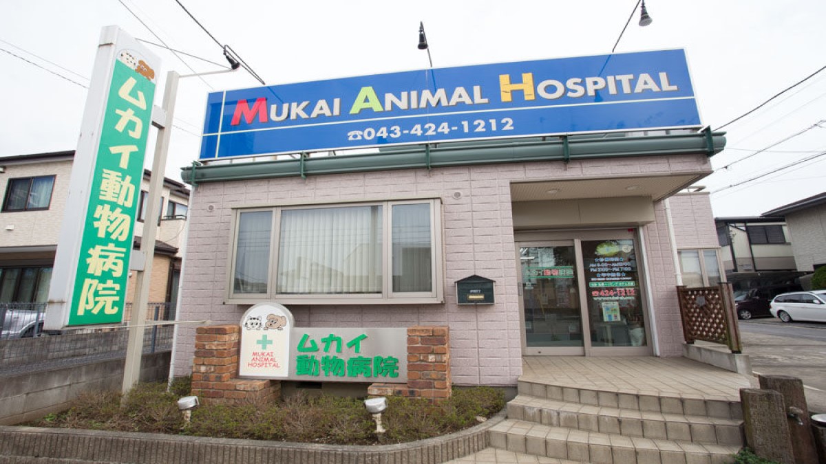 ムカイ動物病院(トリミング)