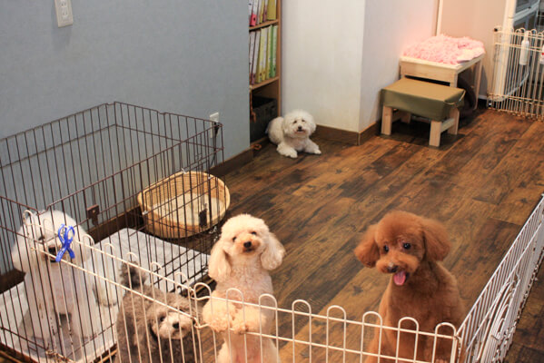 Door to Door 岡本店