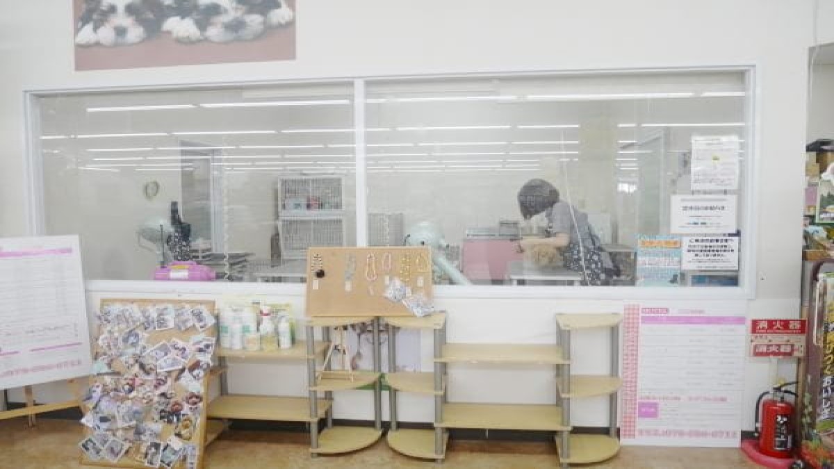 ワンニャンハウス神戸北町店