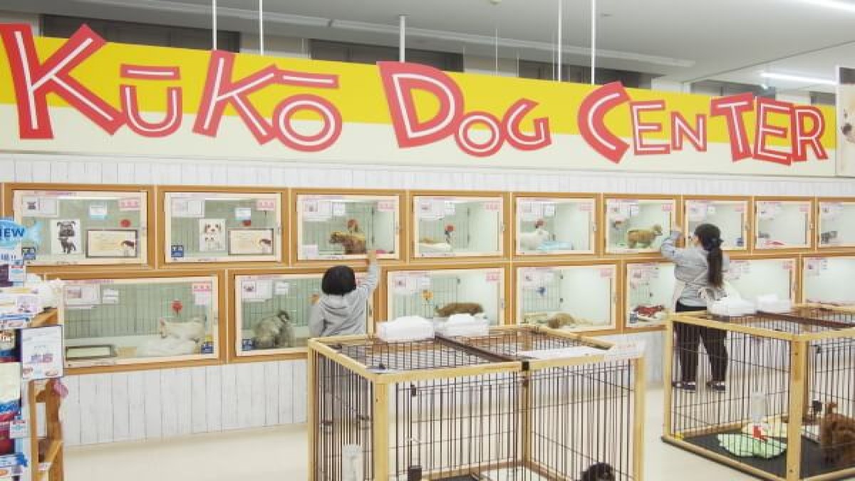 空港ドッグセンター 鶴見店