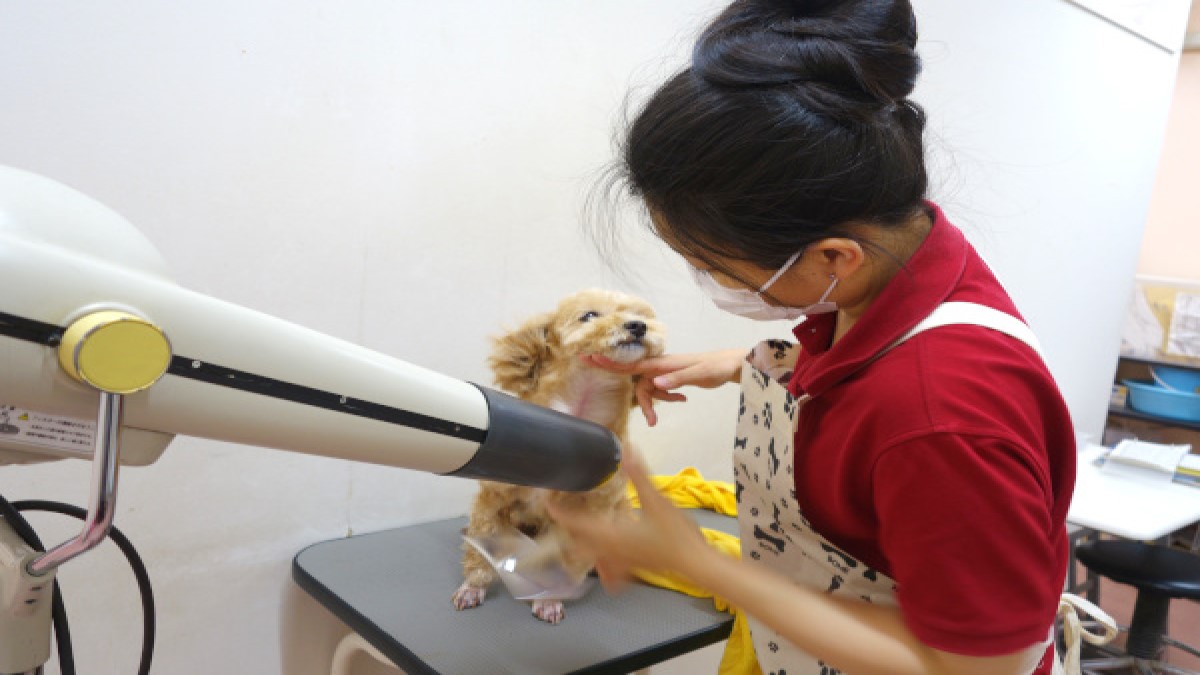 Pet comunity Praza 半田乙川店
