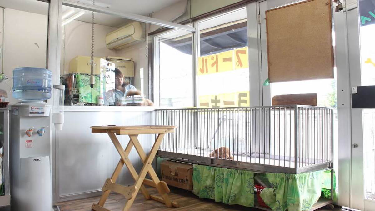 久米川ケンネル 武蔵村山支店