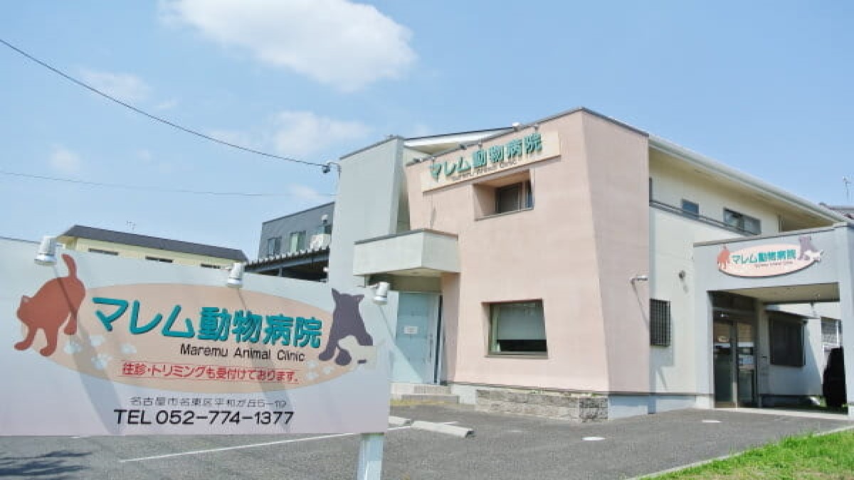 マレム動物病院(トリミング)
