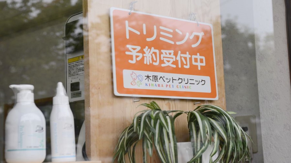 木原ペットクリニック ヘア&スキンケアサロン