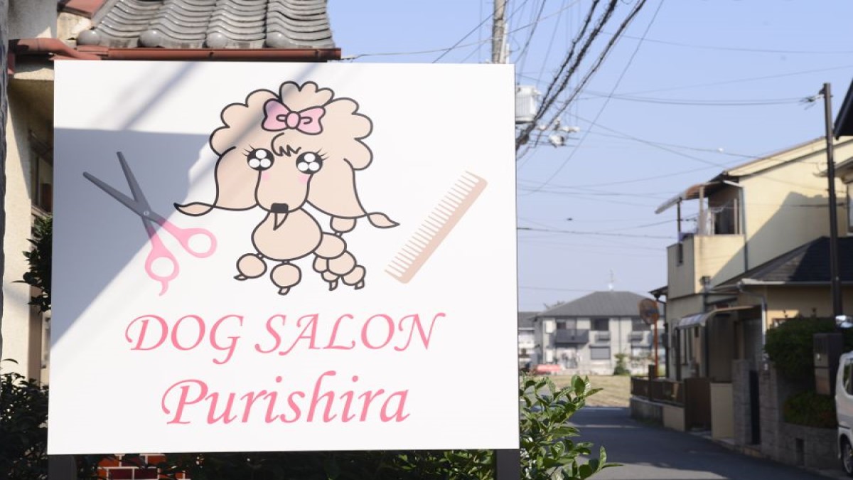 DOG SALON Purishira