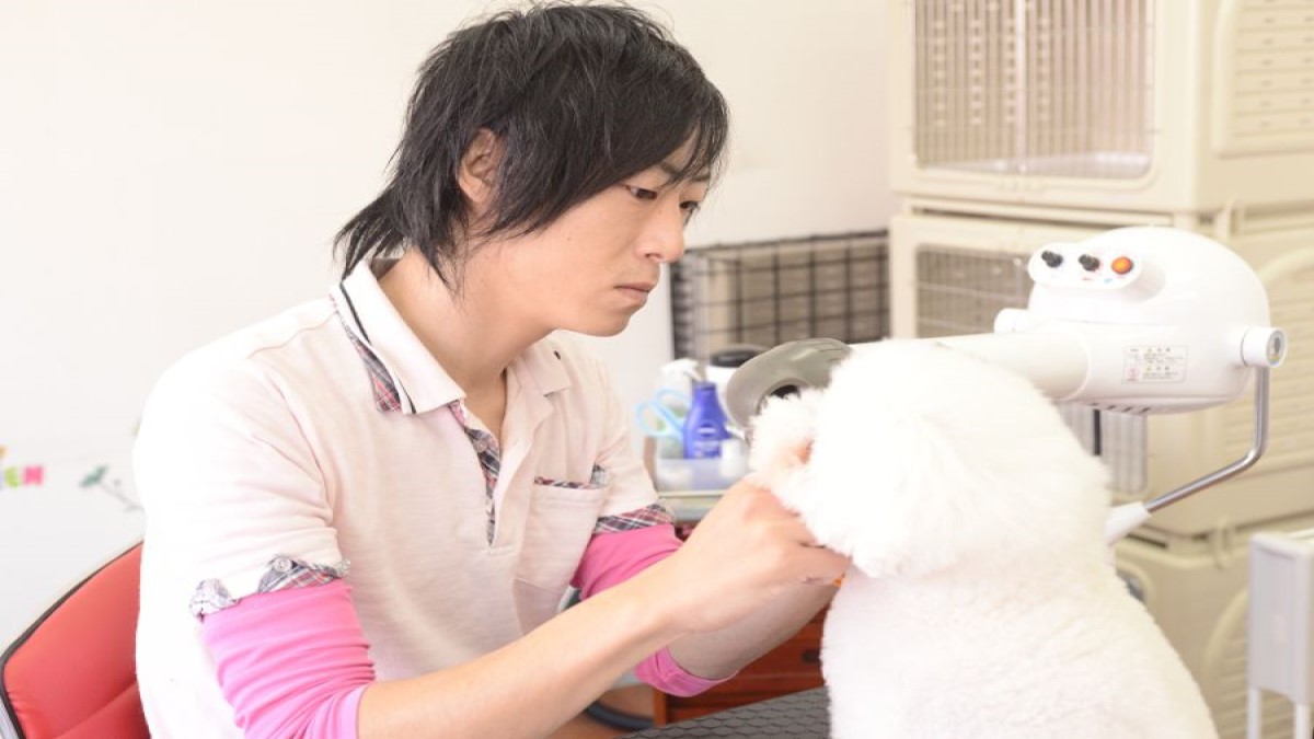 愛犬サロン オレンジ