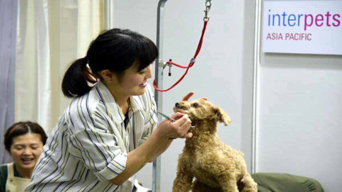自宅訪問型ペットサロン べすぽむ(出張専門)