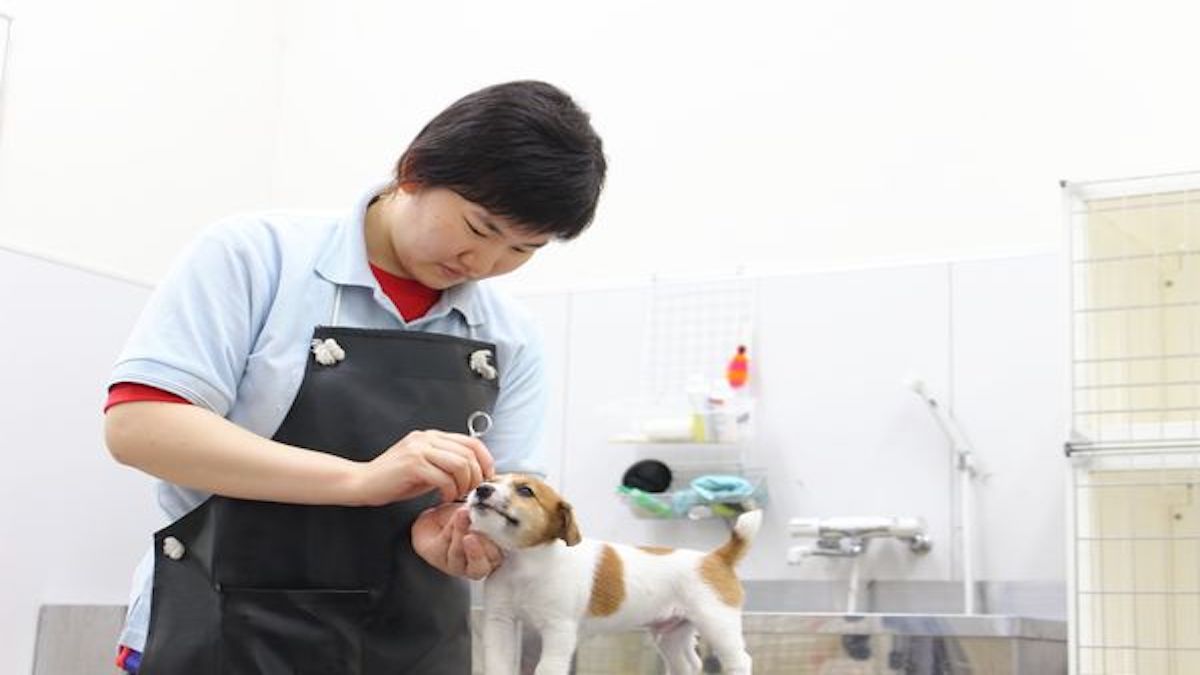 ペットアミ大竹店