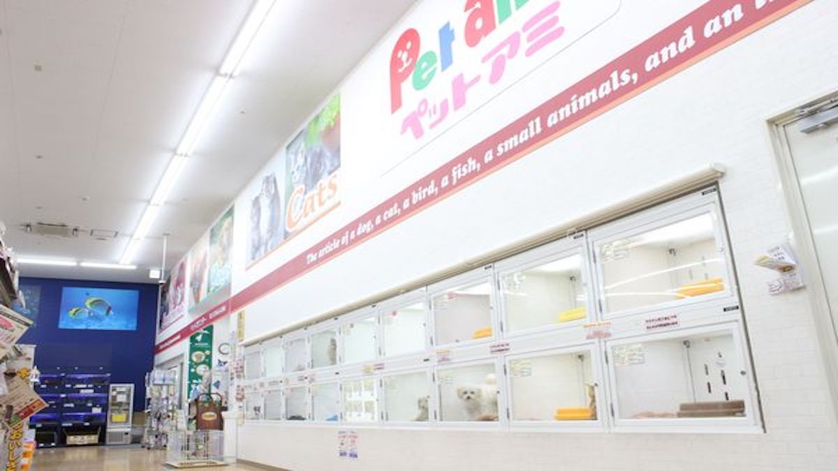 ペットアミ岩出店