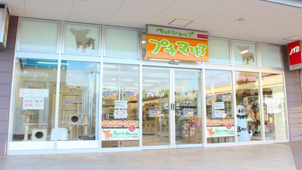プチマリア ラスパ白山店