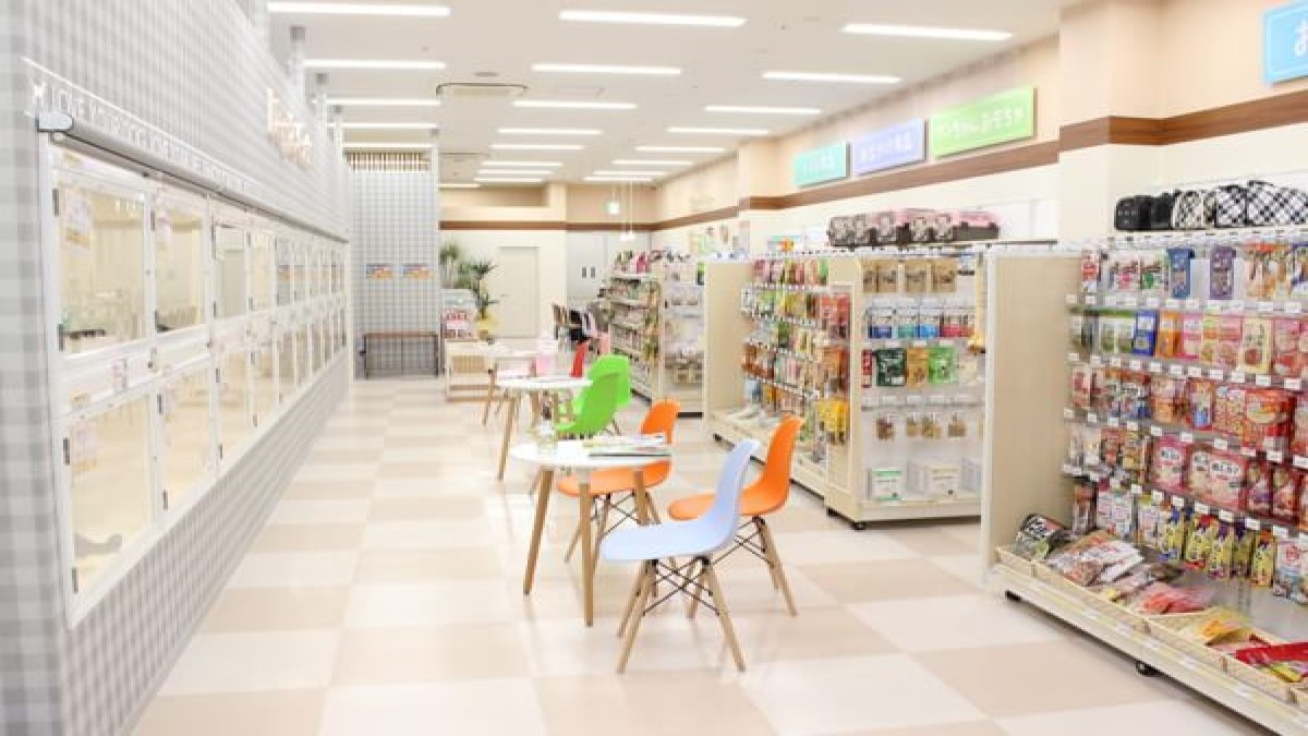 プチマリア ラスパ白山店