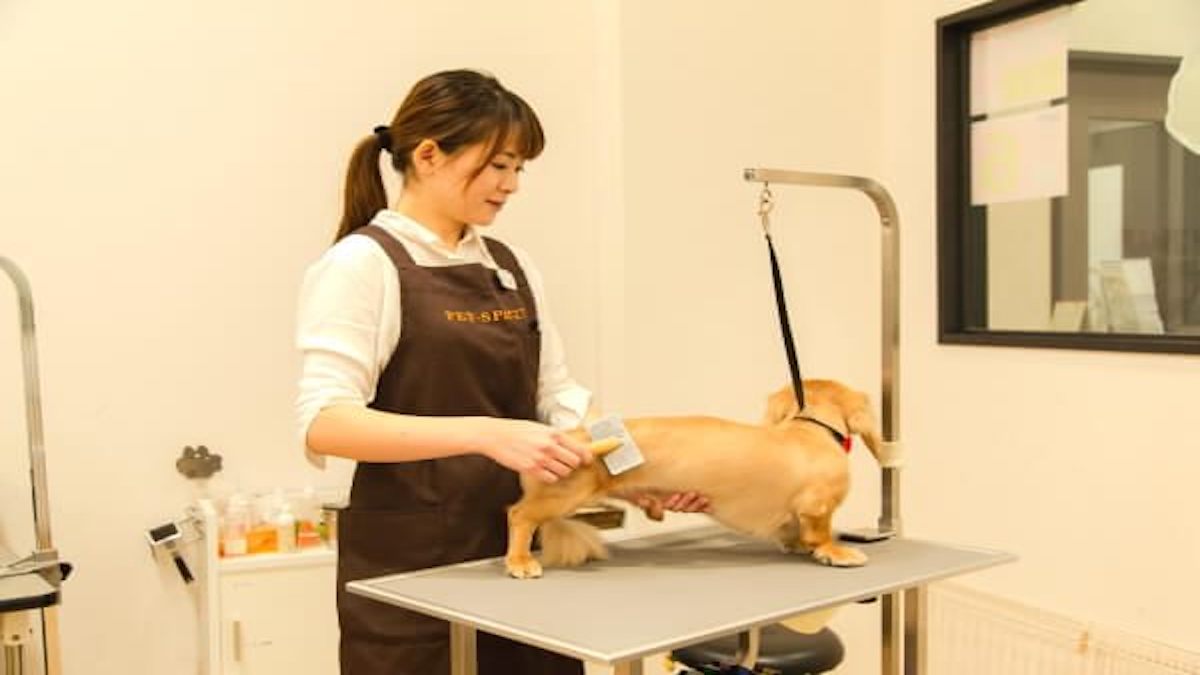 PET-SPA 軽井沢店