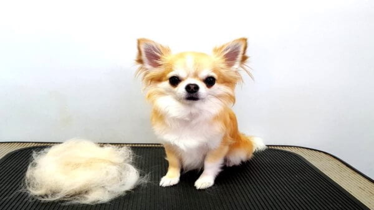 NOUTENKI