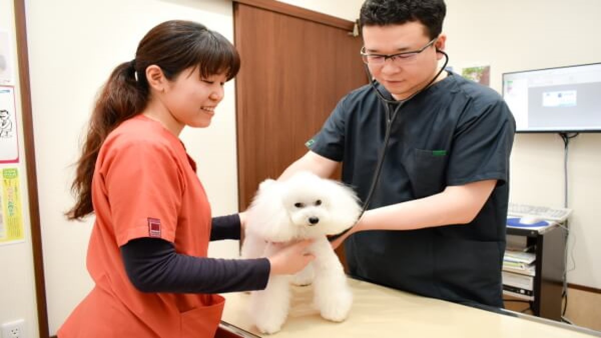 鈴鹿動物病院(トリミング)