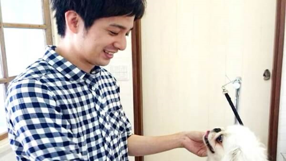 うちのわんこ