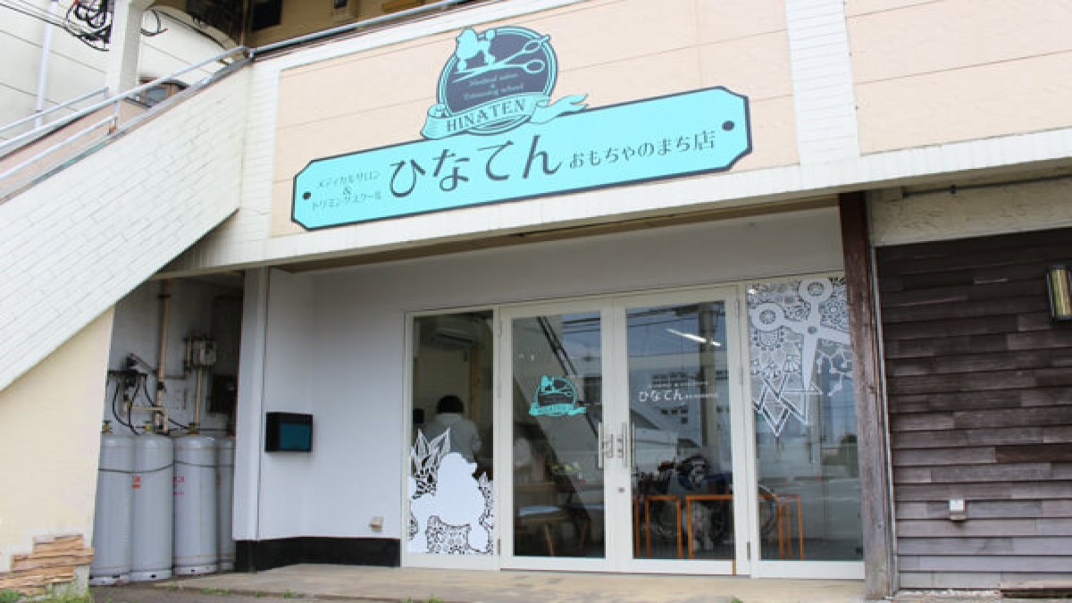 メディカルサロンひなてん おもちゃのまち店