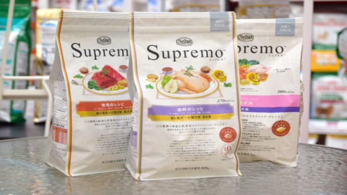 ペットショップ ノア小山店