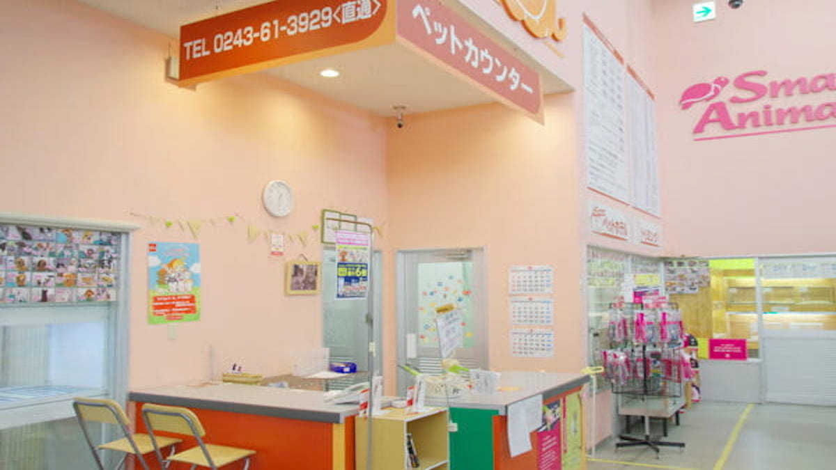 ペットショップアミ安達店