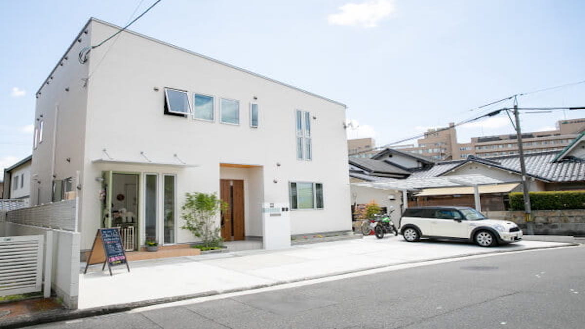 dog salon nico.blan