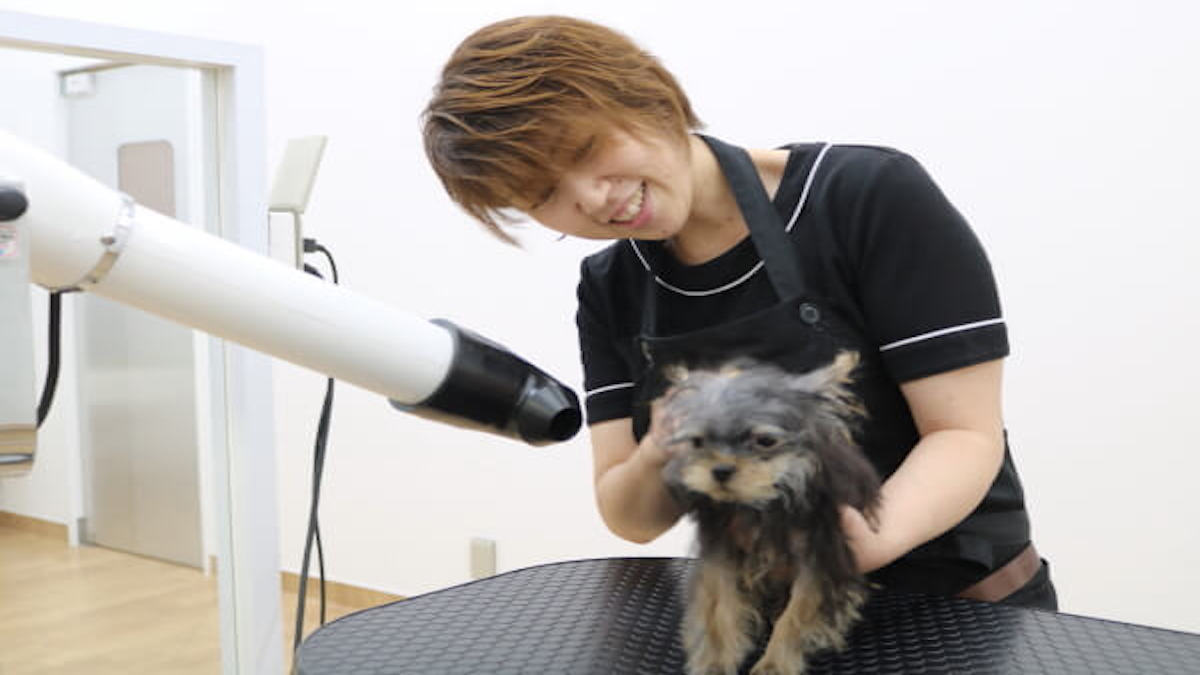 PET DESIGN 三光店