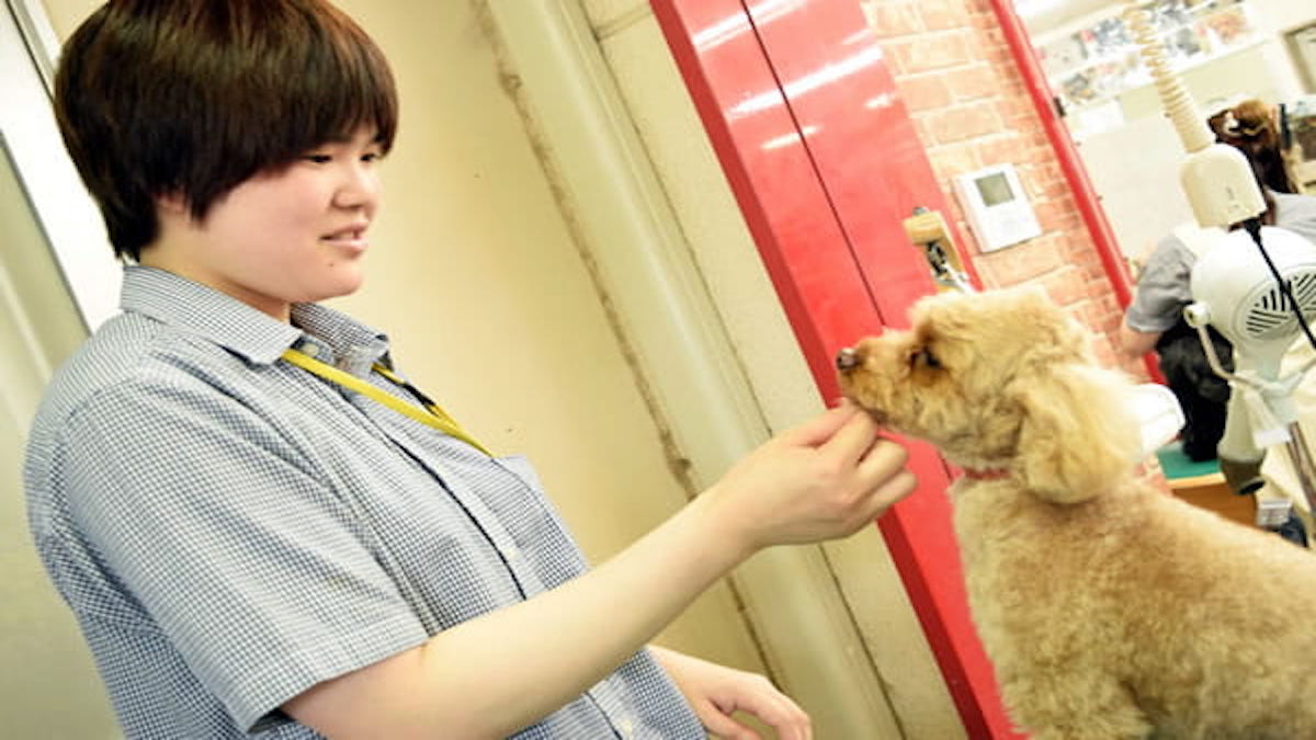 Ishihara Dog Salon OHANA
