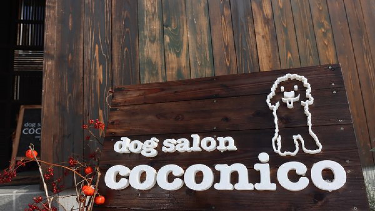 dog salon coconico
