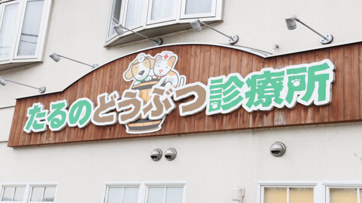 たるのどうぶつ診療所(トリミング)