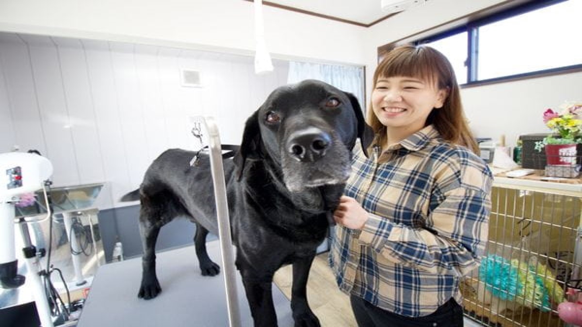 Dog Salon LUCK
