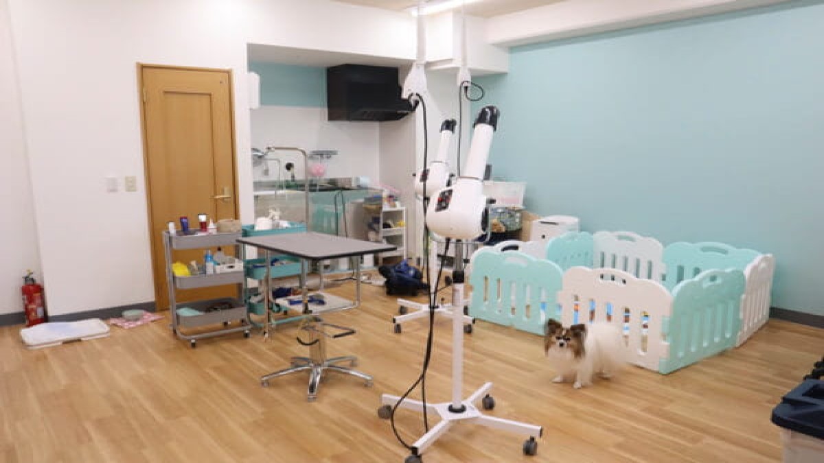 Dogsalon MimiToShippo