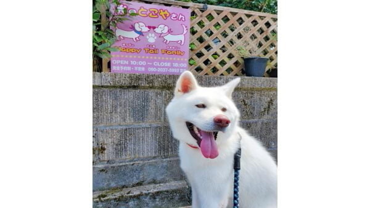 犬のとこやさん Happy Tail Family