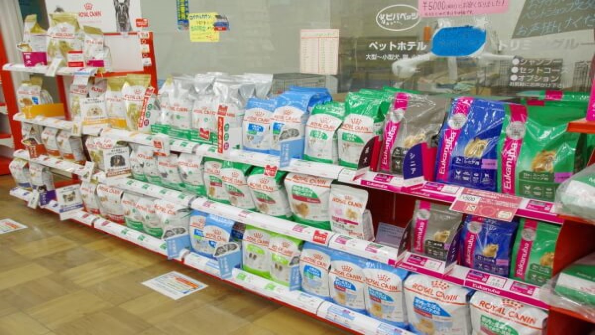 ペットショップ ノア 鹿沼店