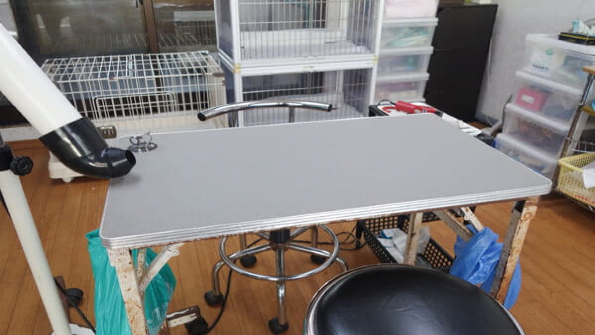 ペットの便利屋さんコスモ