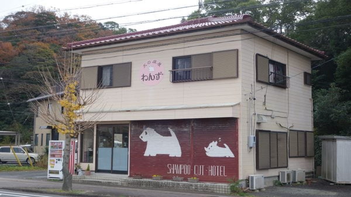 Dog Salon Signal