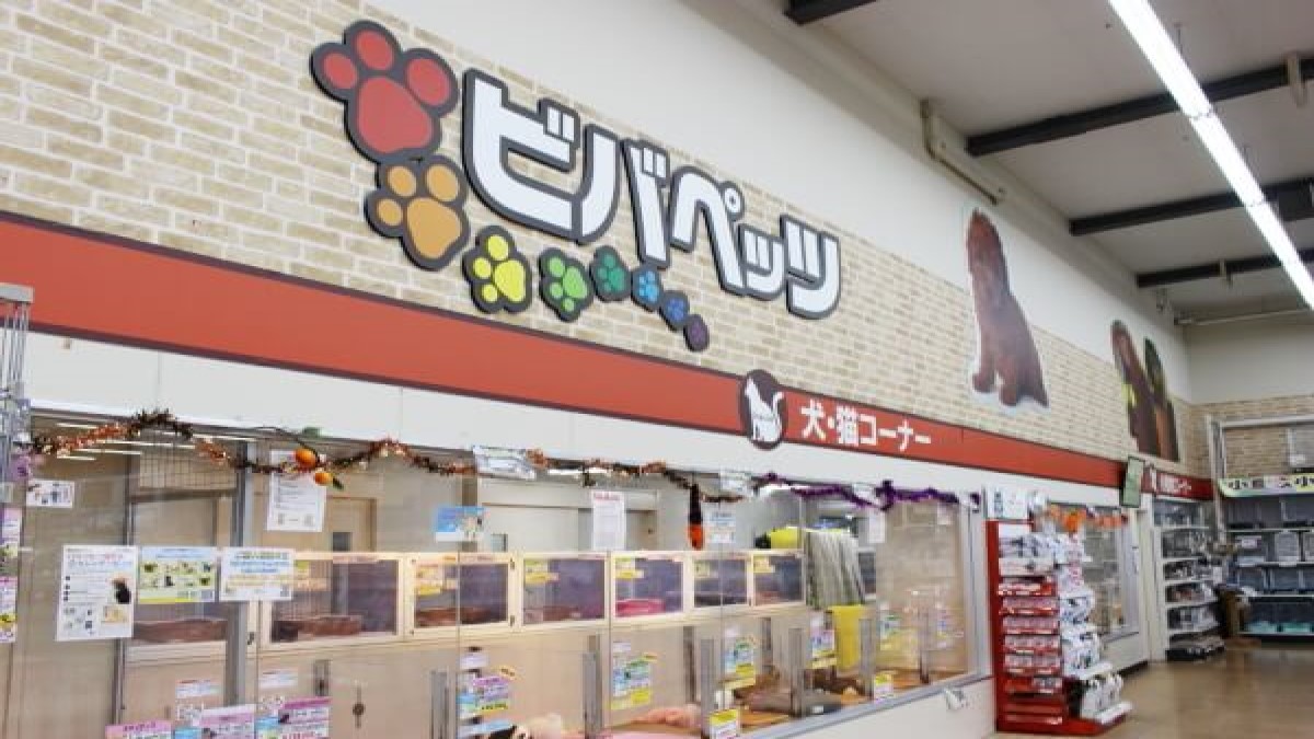 エバーペット(ビバペッツ)小山店