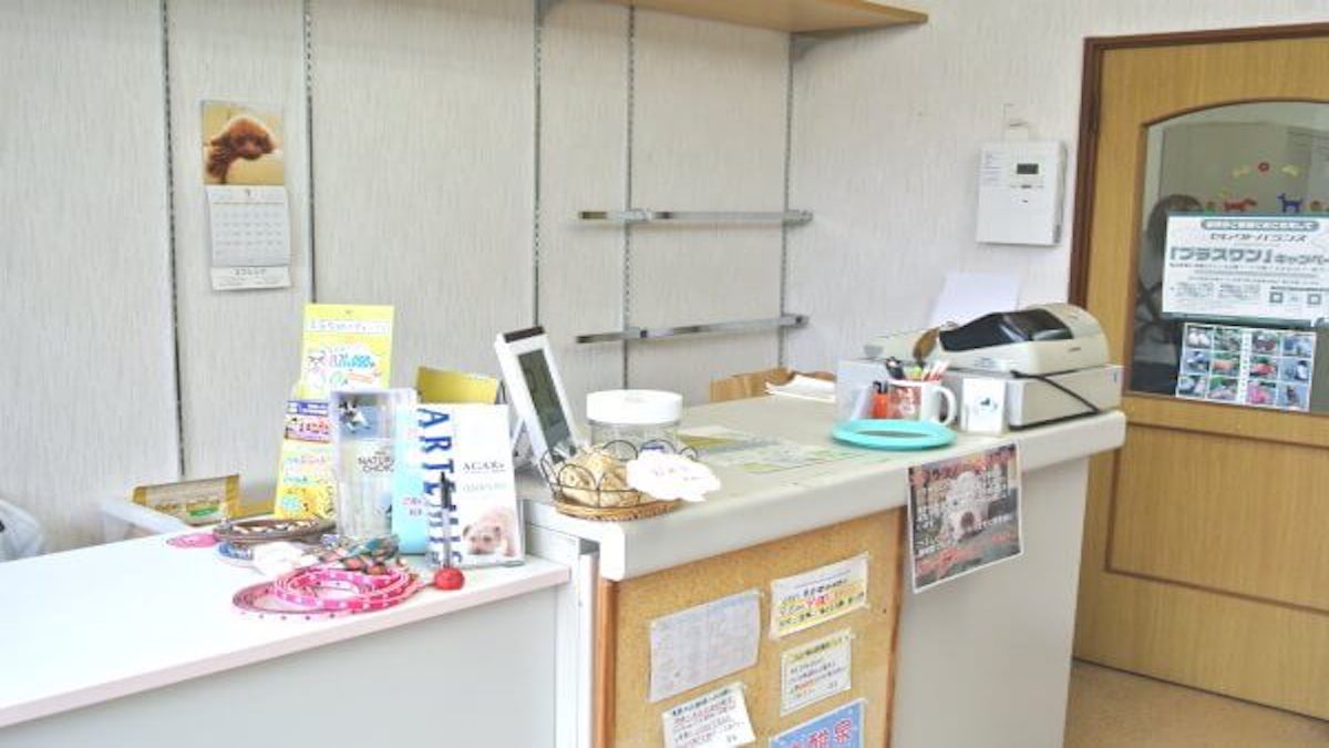 エクレシア 京町店