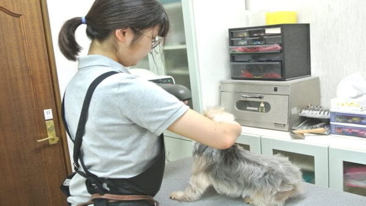 エクレシア 京町店