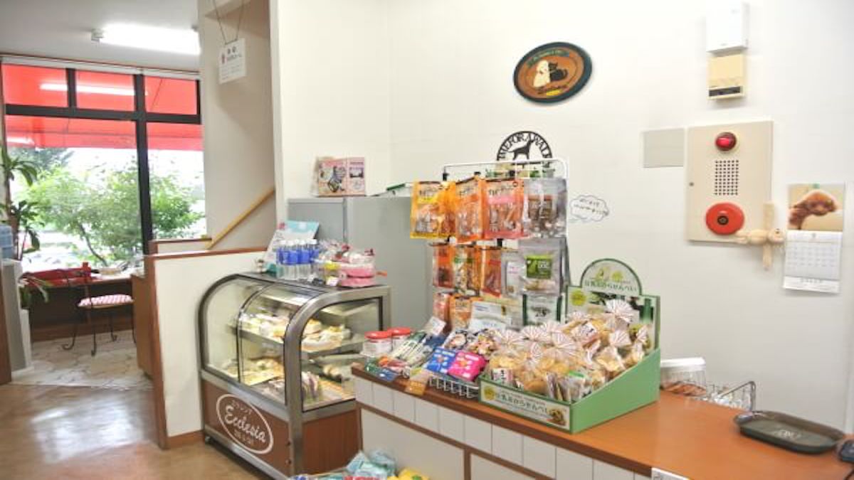 エクレシア 本店