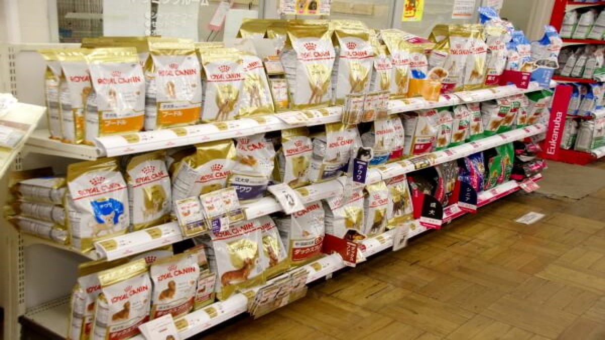 ペットショップ ノア那須塩原店