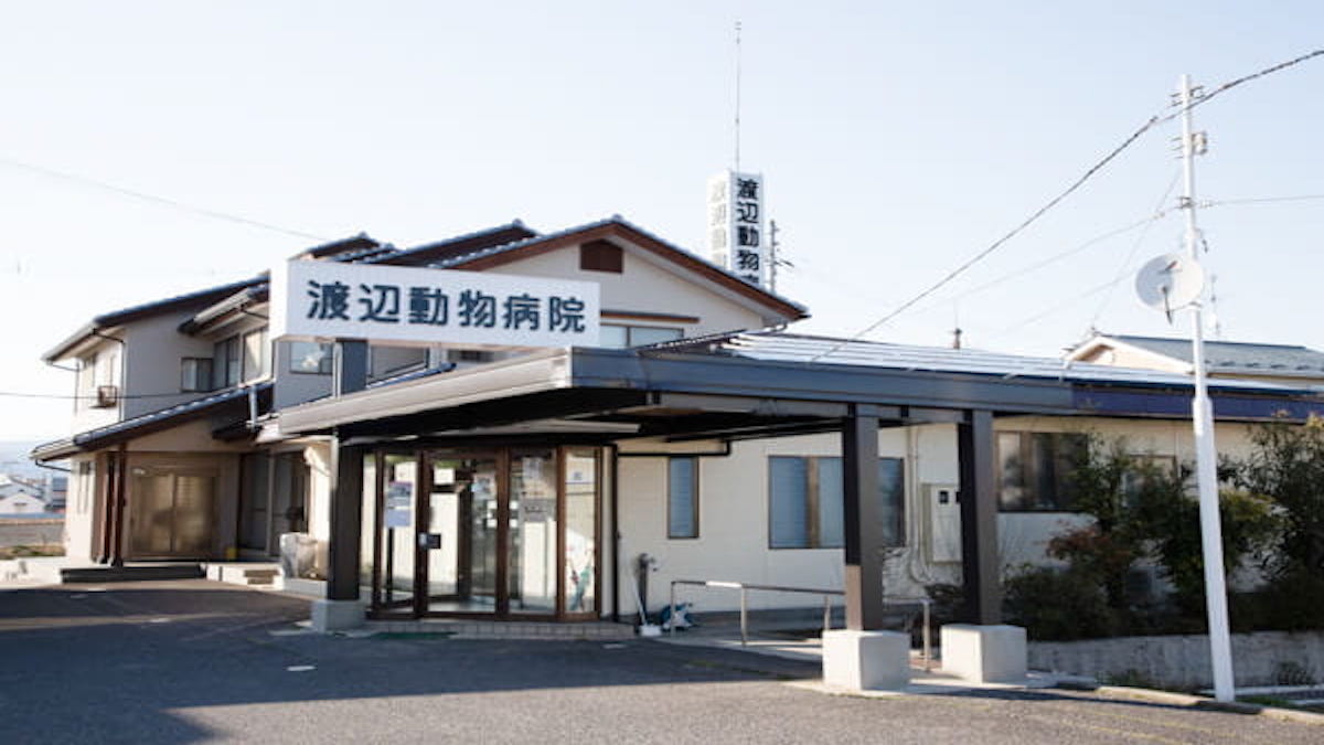 渡辺動物病院(トリミング)