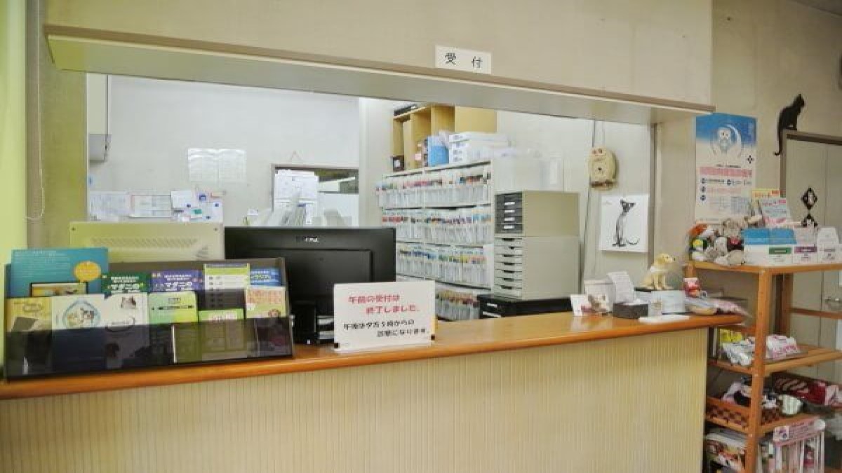石川動物病院