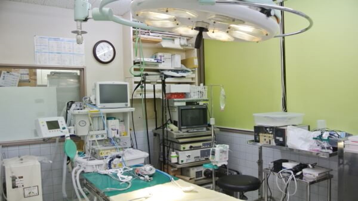 石川動物病院